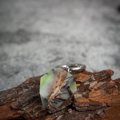 Raktų pakabukas | gamtos paslaptis